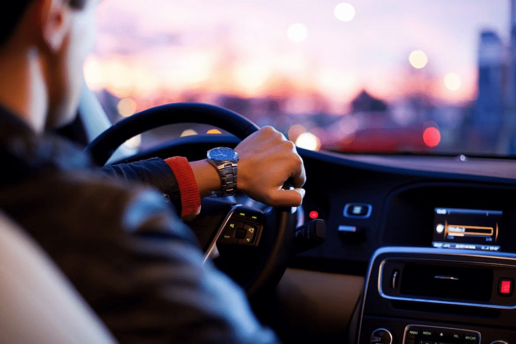 a person driving a car with a city in the background.