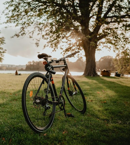 Bicycle Accident Bicycle Accident